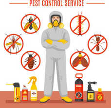 Pest Control Services clipart